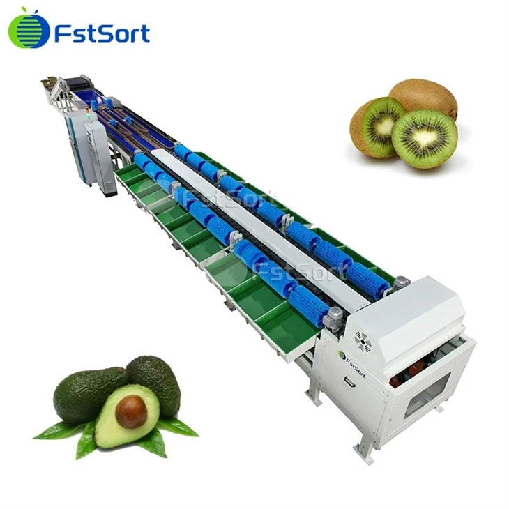 Kiwi þyngdarflokkunarvél