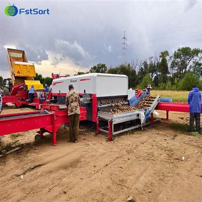 Mikil-nákvæmni kartöfluoptísk flokkunarvél fyrir hámarks skilvirkni
